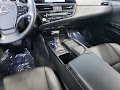 2022 Lexus ES ES 250