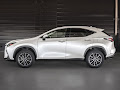 2024 Lexus NX NX 250