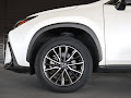 2024 Lexus NX NX 250