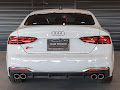 2023 Audi S5 Sportback Premium Plus